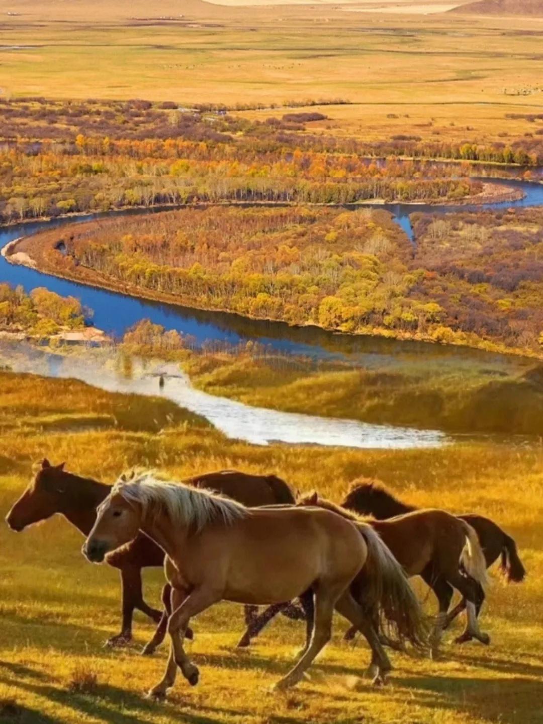 呼伦贝尔科技新品璀璨亮相，引领生活新纪元