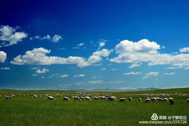 呼伦贝尔,领导与朋友共聚盛会