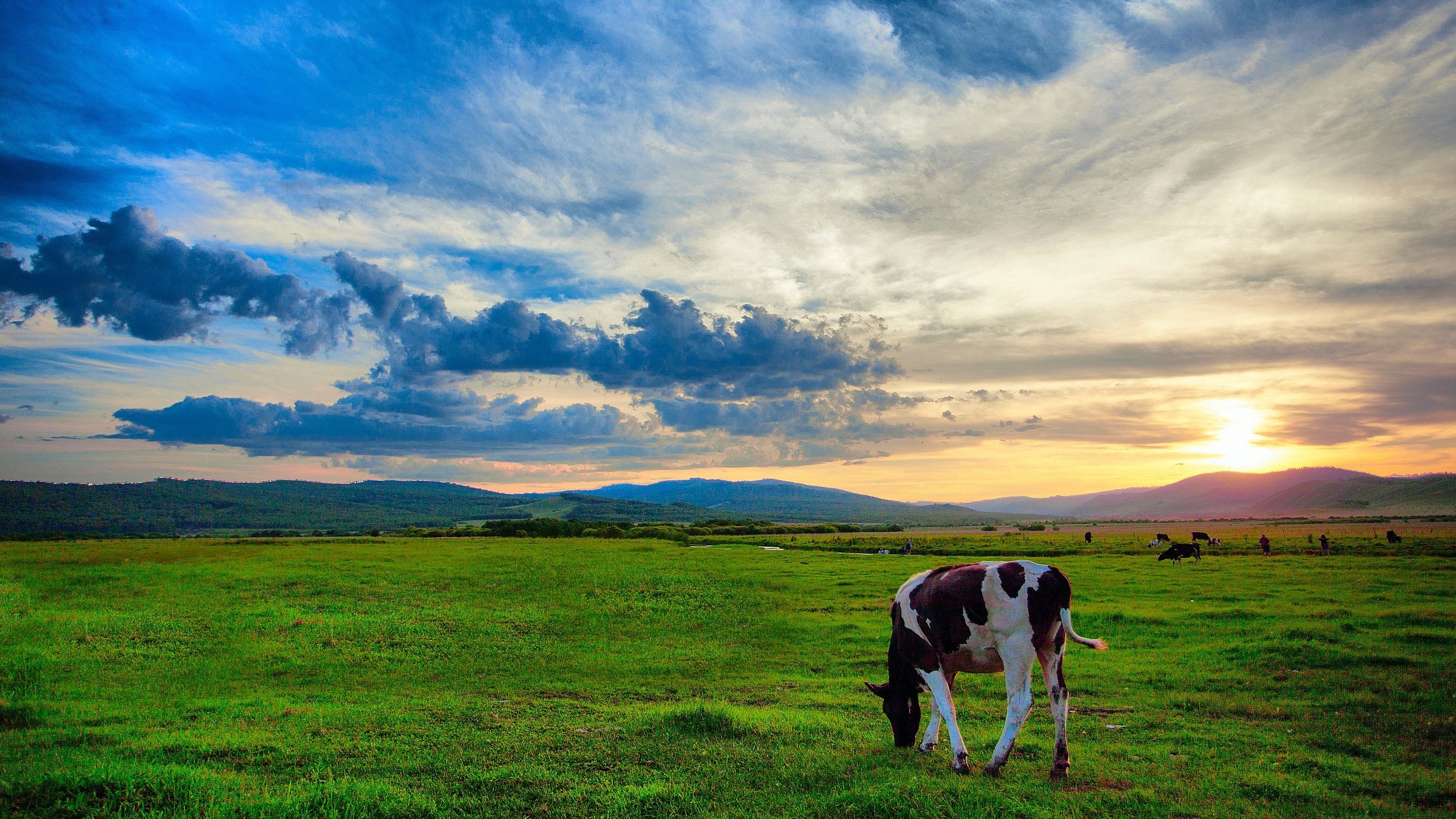 呼伦贝尔,领导与朋友共聚盛会