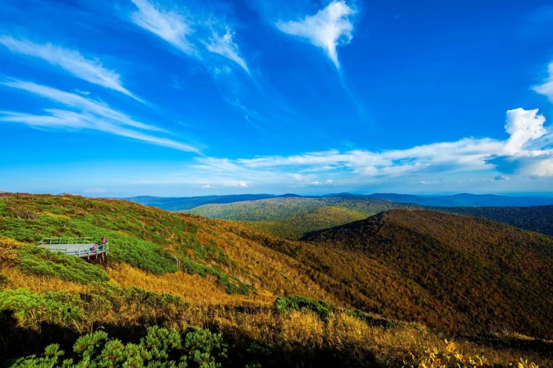 白山之声，与听众朋友们的心灵对话